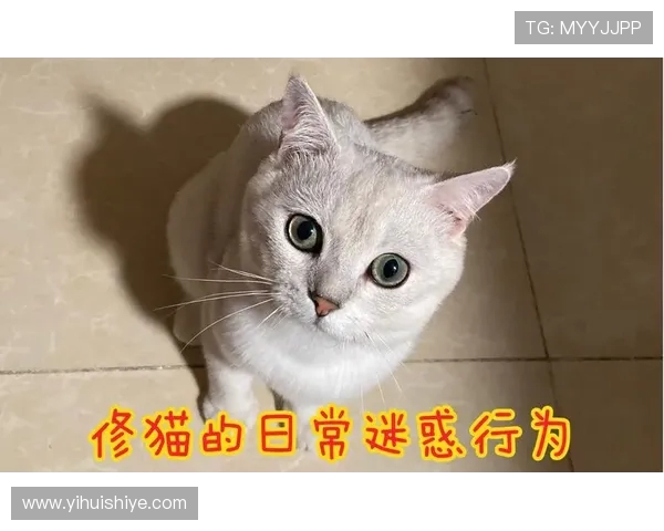 浣庝环缁害閫嗚锛佷粬浠庤摑棰嗘浛琛ュ埌鑱旂洘鍓嶄笁鍐呯嚎锛屾垚蹇埞澶哄啝鍩虹煶