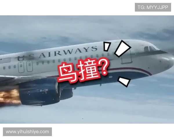 鎷夋尝灏斿鍔涙帹灏肩杞細锛屽焹璐濆皵瀵嗗垏鍏虫敞浜ゆ槗缁嗚妭